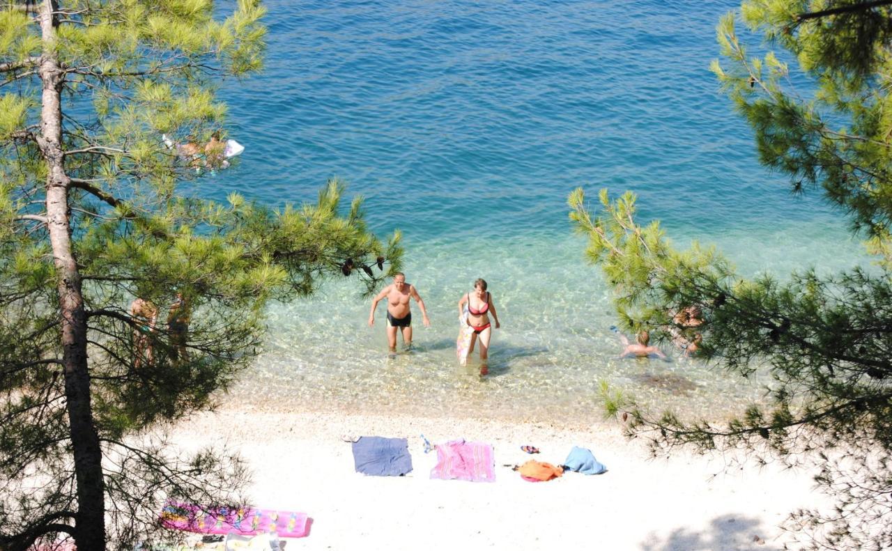Summer Residence Near The Sea Donji Okrug  Extérieur photo
